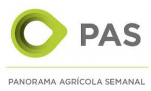 PANORAMA AGRICOLA SEMANAL al 31/01/2021